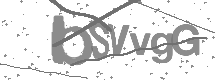 visual captcha